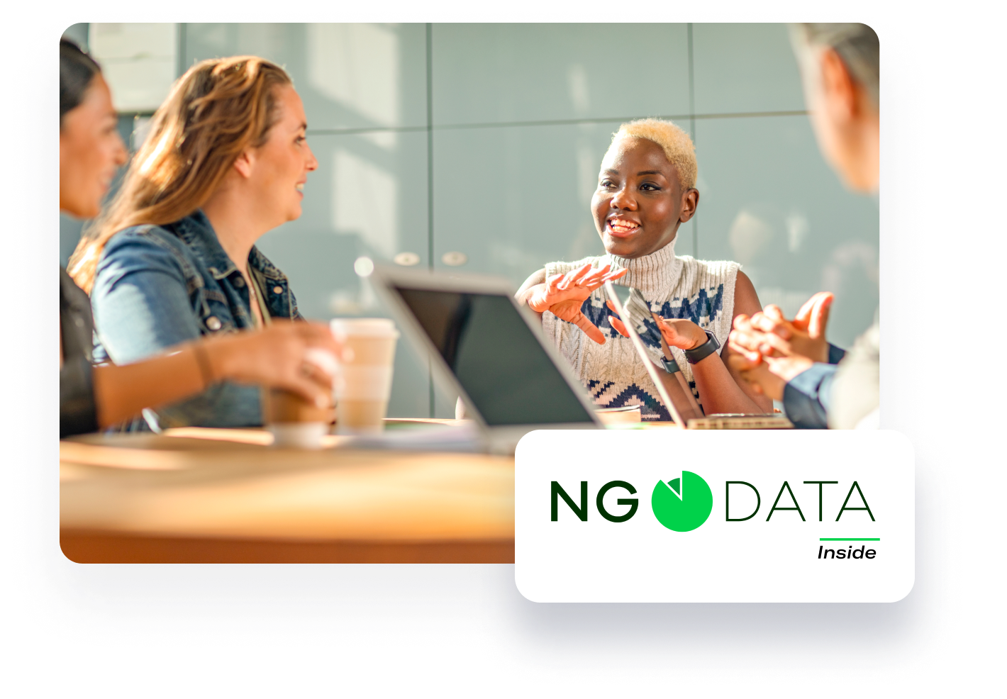 NGDATA Inside Partner Program