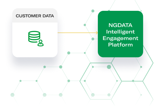 NGDATA Integration Data